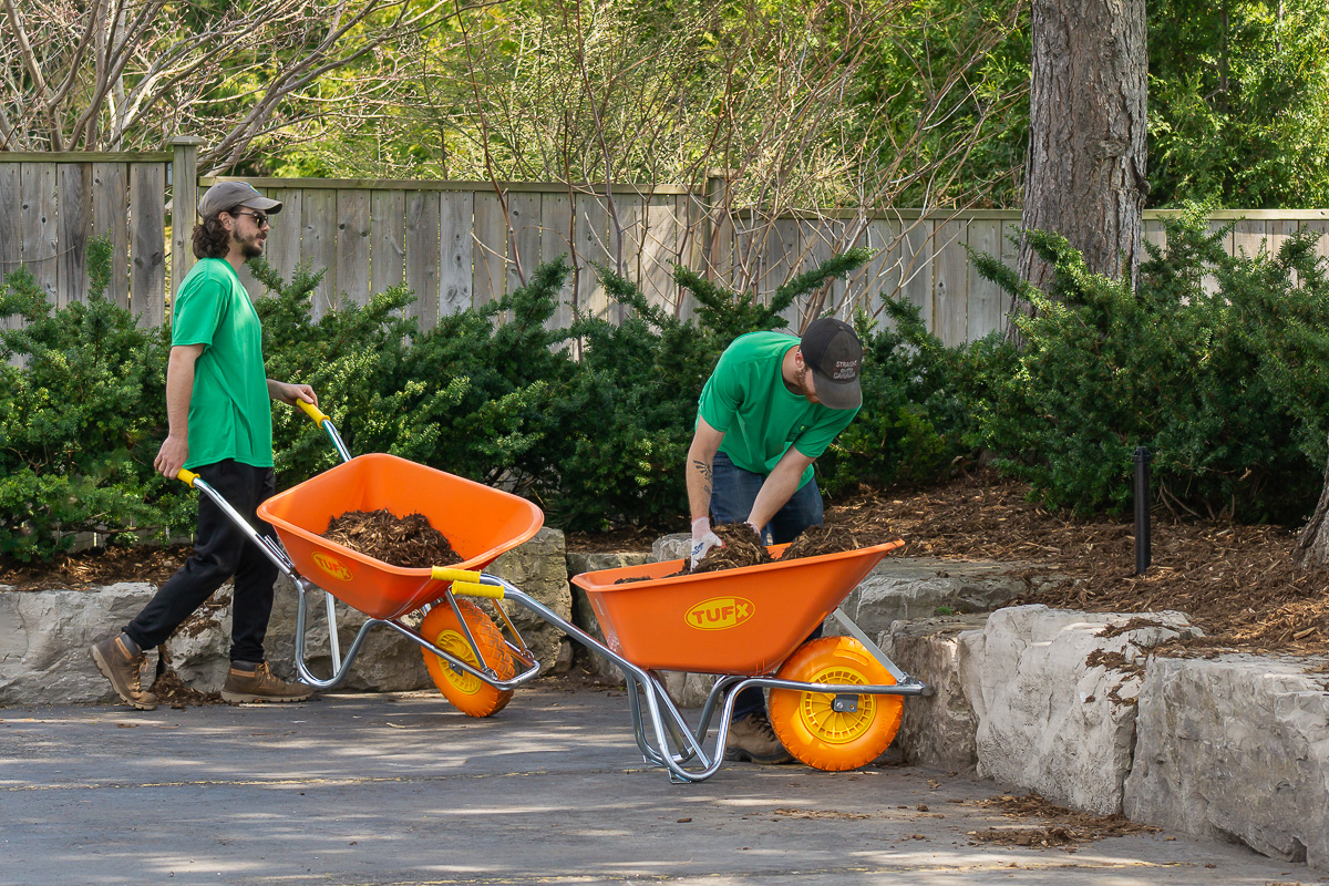 Commercial landscaping maintenance at a property in Burlington, Ontario by Green Effects