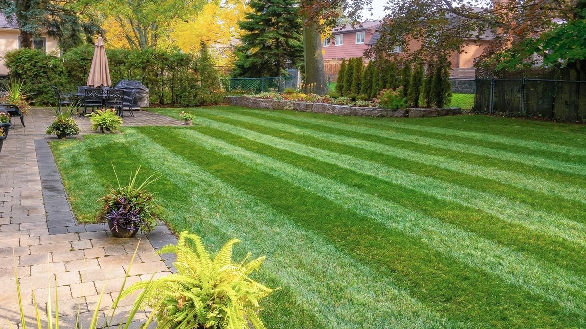 Luxury residential lawn care in South Oakville, Ontario by Green Effects